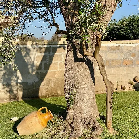 Διαμέρισμα Gustapane